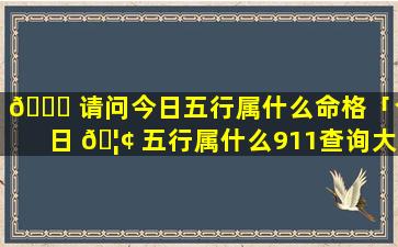 🐕 请问今日五行属什么命格「今日 🦢 五行属什么911查询大全」